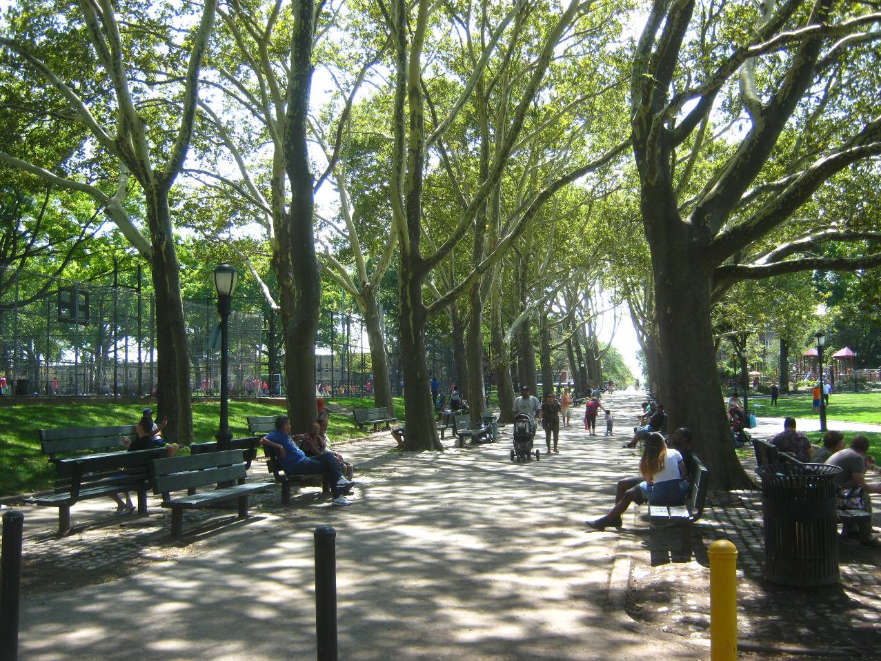 ブルックリン・サンセット公園の木立。